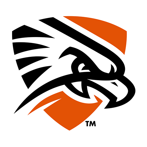 UT Permian Basin Falcons