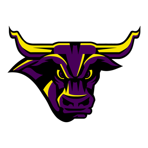 Minnesota State Mankato Mavericks