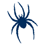 Richmond Spiders