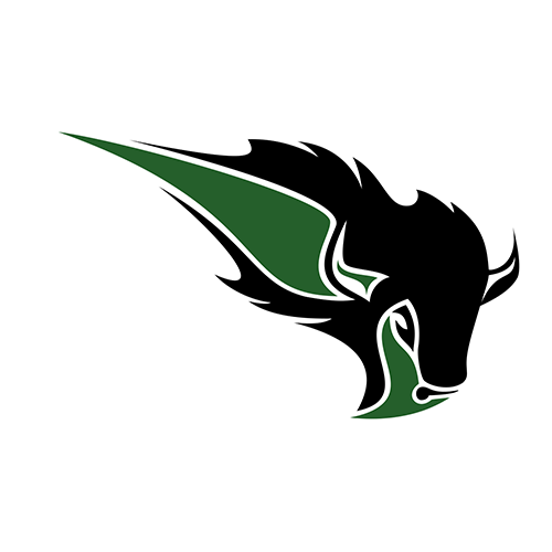 Oklahoma Baptist Bison