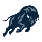 Howard Bison